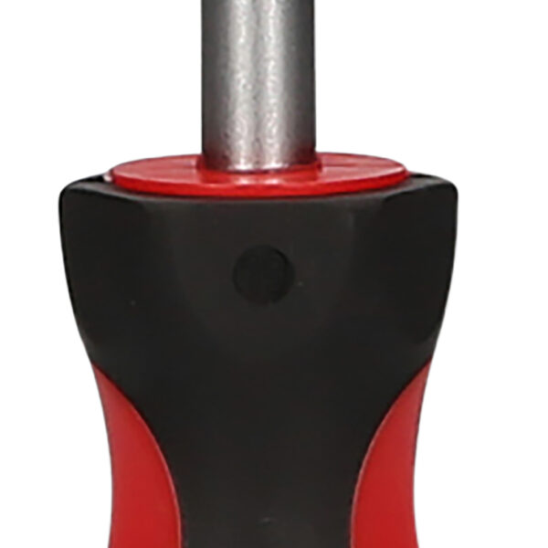 FOT_PRO_VAR_159.1136.2_SALL_AING_V1