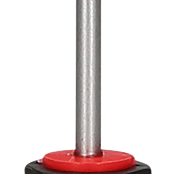 FOT_PRO_ALG_159.1134_SALL_AING_V1