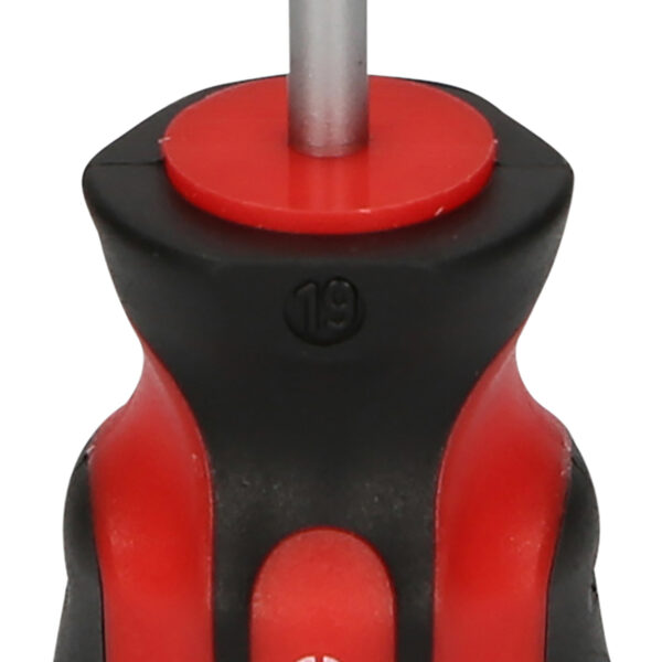 FOT_PRO_VAR_159.1121.2_SALL_AING_V1