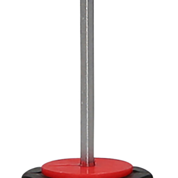 FOT_PRO_ALG_159.1067_SALL_AING_V1