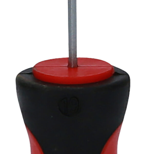 FOT_PRO_VAR_159.1066.2_SALL_AING_V1