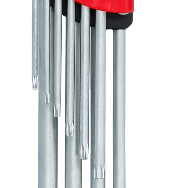 FOT_PRO_ALG_STIF_151.4860_SALL_AING_V1