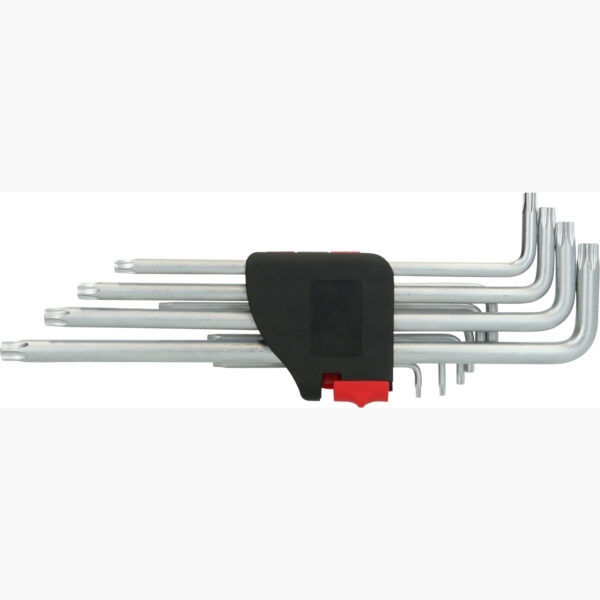 FOT_PRO_VAR_151.4860.2_SALL_AING_V1