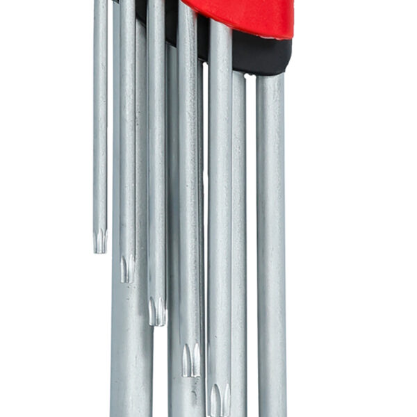 FOT_PRO_ALG_STIF_151.4550_SALL_AING_V1