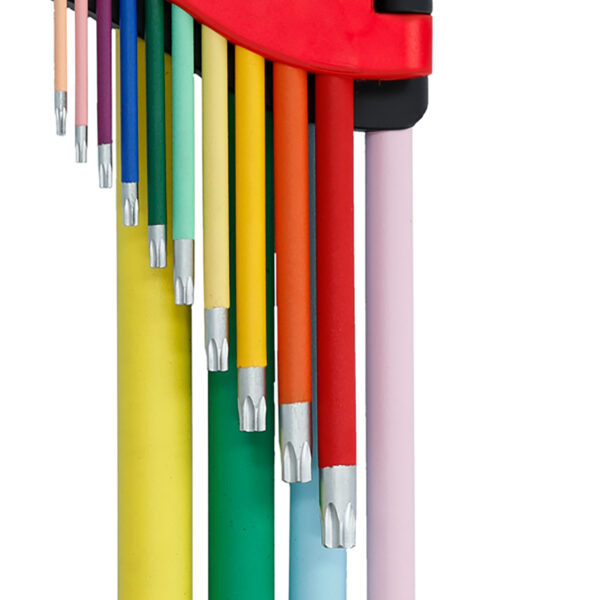 FOT_PRO_ALG_STIF_151.4440_SALL_AING_V1