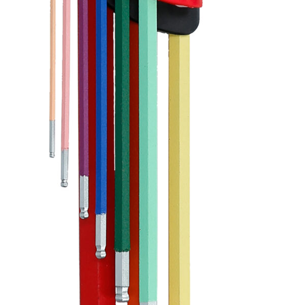 FOT_PRO_ALG_STIF_151.4420_SALL_AING_V1