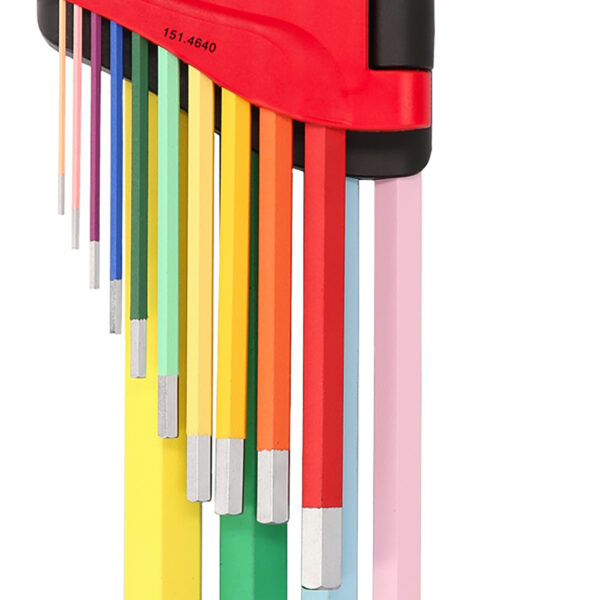 FOT_PRO_ALG_STIF_151.4640_SALL_AING_V1