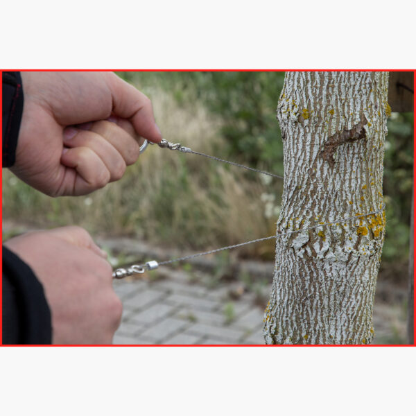 FOT_ANW_ALG_SCHESAE_123.0005.AW4_SALL_AING_V1