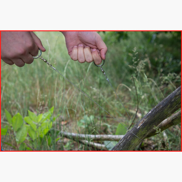 FOT_ANW_ALG_SCHESAE_123.0005.AW5_SALL_AING_V1