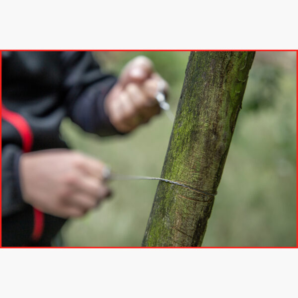 FOT_ANW_ALG_SCHESAE_123.0005.AW6_SALL_AING_V1