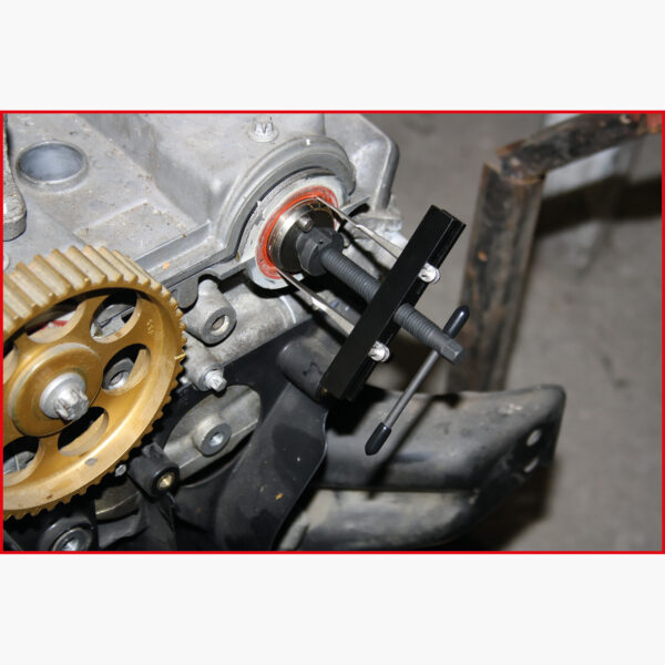 FOT_ANW_ALG_AUTO_700.1280.AW1_SALL_AING_V1