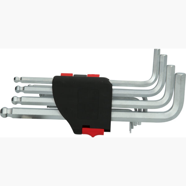 FOT_PRO_VAR_151.5000.2_SALL_AING_V1