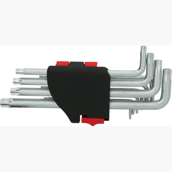 FOT_PRO_VAR_151.4880.2_SALL_AING_V1