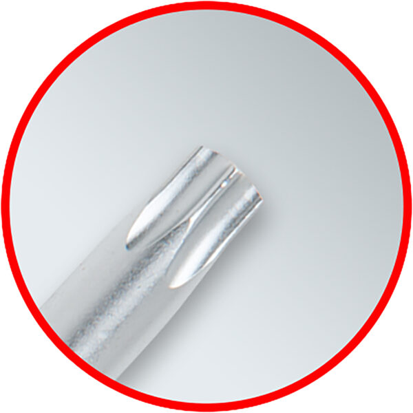 FOT_ANW_ALG_STIF_151.4250.AW1_SALL_AING_V1