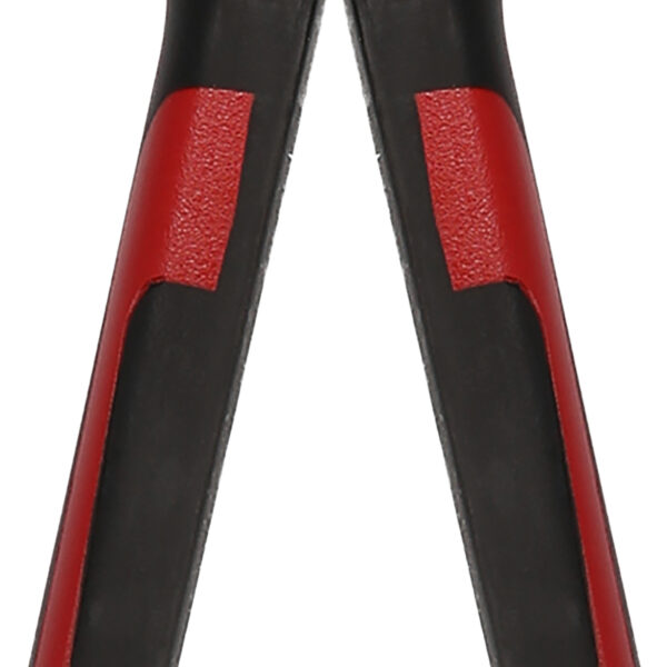 FOT_PRO_ALG_ZA_115.210X(1-3)_SALL_AING_V1