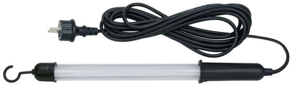 FOT_PRO_ALG_WZAL_550.1371_SALL_AING_V1