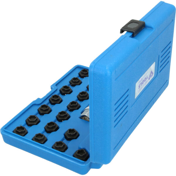 FOT_PRO_VAR_BT691050.1_SALL_AING_V1