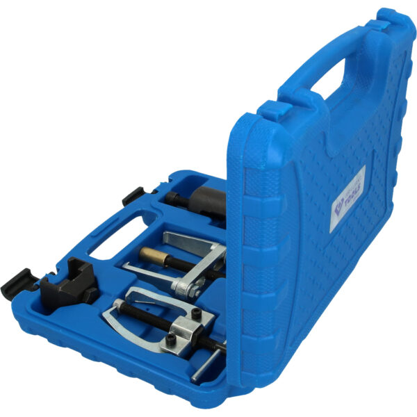 FOT_PRO_VAR_BT681050.1_SALL_AING_V1