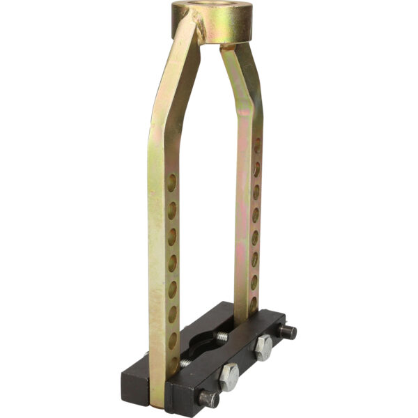 FOT_PRO_VAR_BT676003.1_SALL_AING_V1