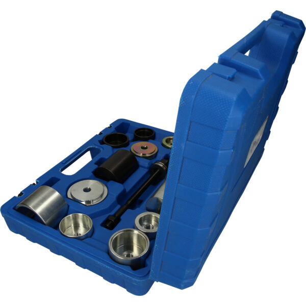 FOT_PRO_VAR_BT672050.1_SALL_AING_V1