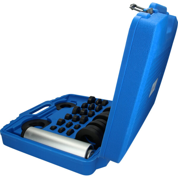 FOT_PRO_VAR_BT671750.1_SALL_AING_V1