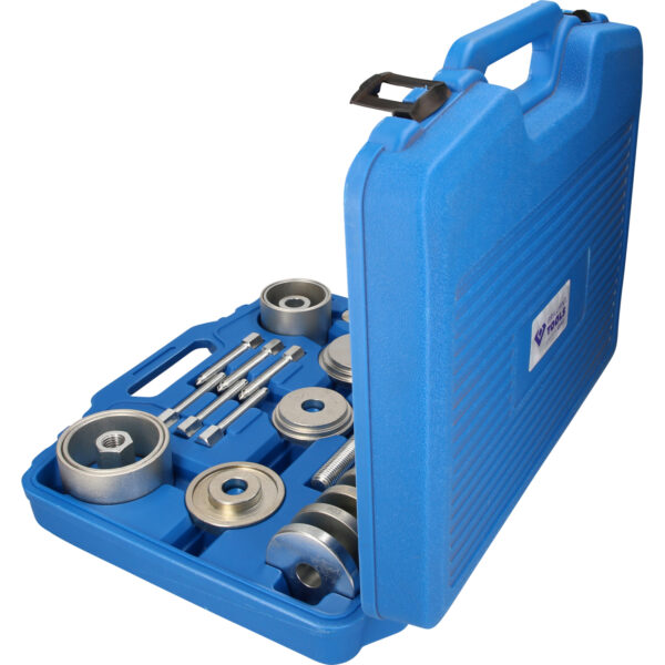 FOT_PRO_VAR_BT671650.1_SALL_AING_V1