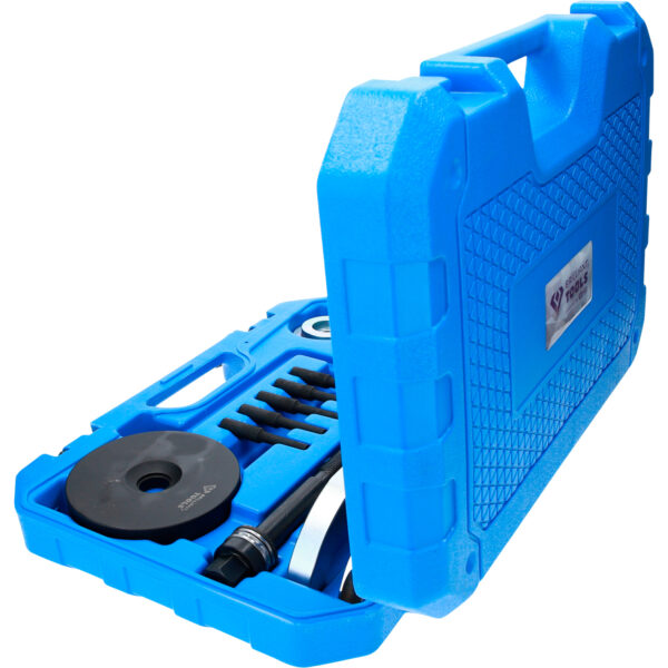 FOT_PRO_VAR_BT671450.1_SALL_AING_V1