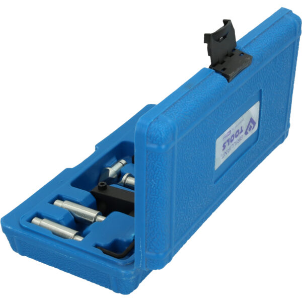 FOT_PRO_VAR_BT661300.1_SALL_AING_V1