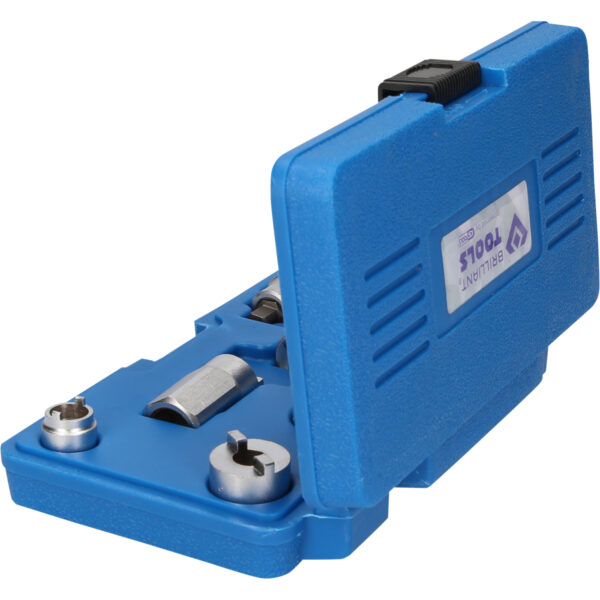 FOT_PRO_VAR_BT651000.1_SALL_AING_V1