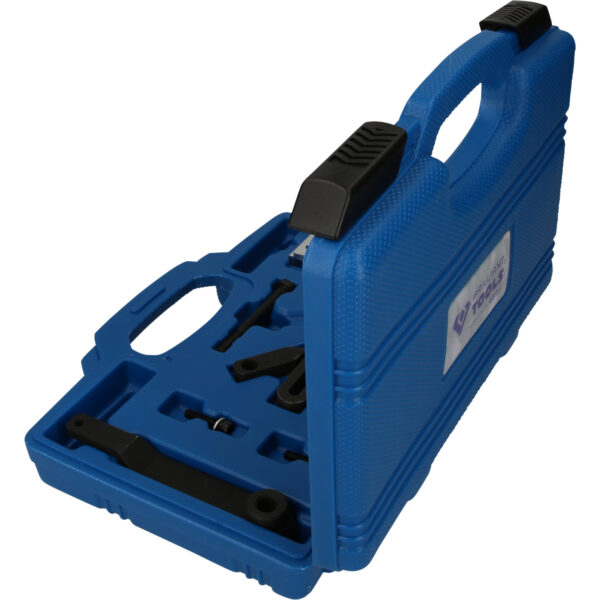 FOT_PRO_VAR_BT641050.1_SALL_AING_V1