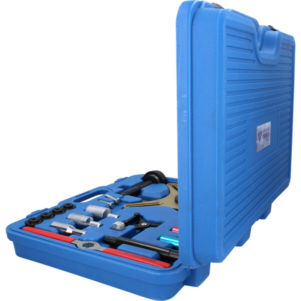 FOT_PRO_VAR_BT641150.1_SALL_AING_V1