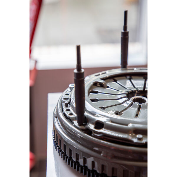 FOT_ANW_ALG_BT_BT641150.AW1_SALL_AING_V1