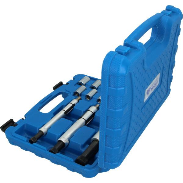 FOT_PRO_VAR_BT641100.1_SALL_AING_V1