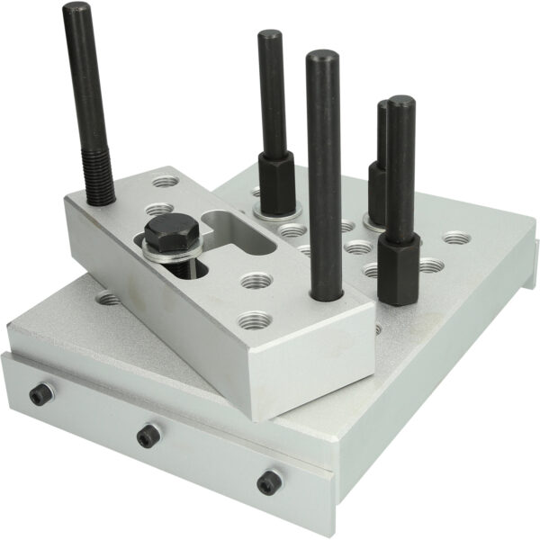 FOT_PRO_VAR_BT676007.1_SALL_AING_V1