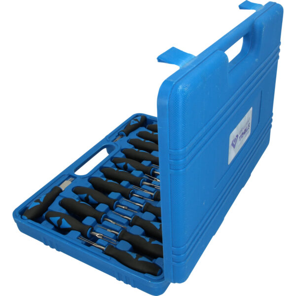 FOT_PRO_VAR_BT511100.1_SALL_AING_V1