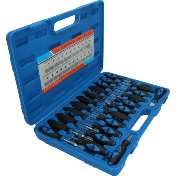 FOT_PRO_VAR_BT511100.3_SALL_AING_V1