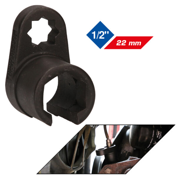 FOT_GES_ALG_BT606001.GB_SALL_AING_V1