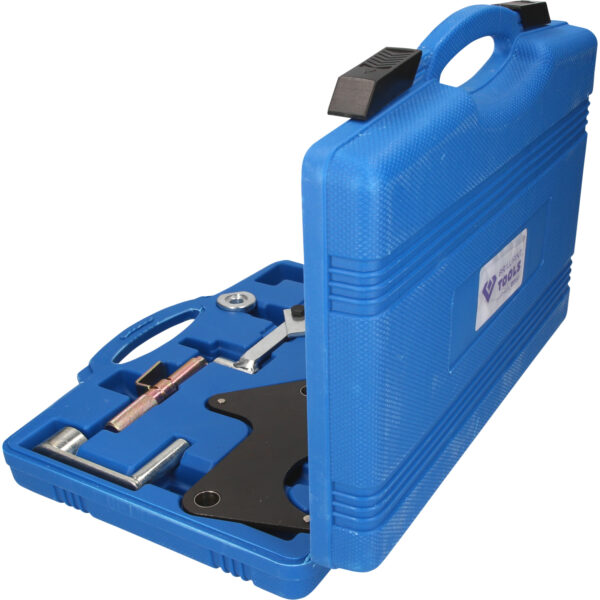 FOT_PRO_VAR_BT594650.1_SALL_AING_V1