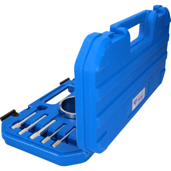 FOT_PRO_VAR_BT592300.1_SALL_AING_V1