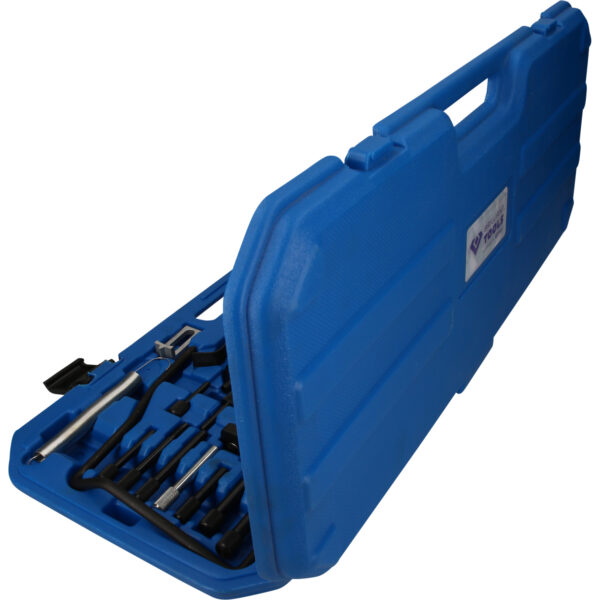 FOT_PRO_VAR_BT592250.1_SALL_AING_V1