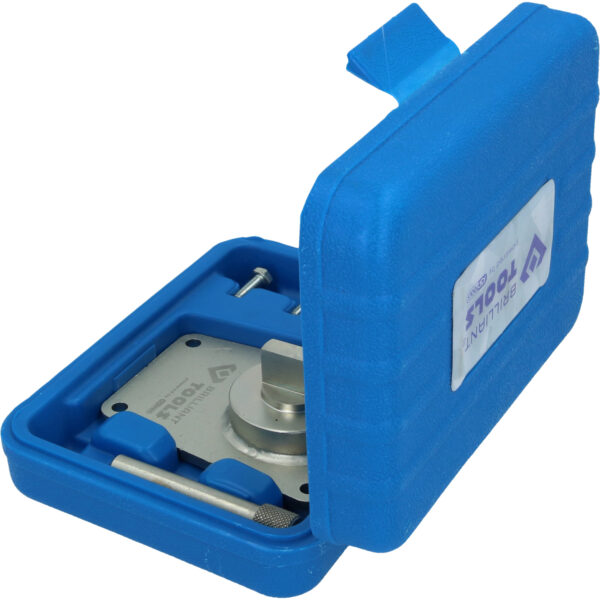 FOT_PRO_VAR_BT594300.1_SALL_AING_V1