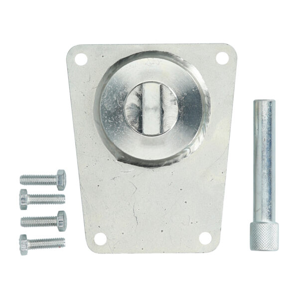 FOT_BT_VAR_BT594300.1_SALL_AING_V1