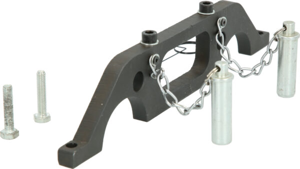 FOT_PRO_VAR_BT594050.1_SALL_AING_V1