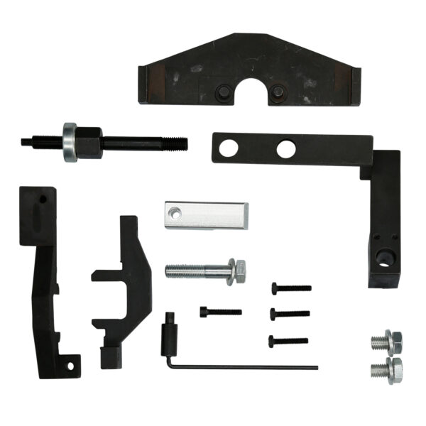 FOT_BT_VAR_BT593750.1_SALL_AING_V1