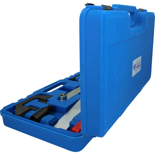 FOT_PRO_VAR_BT593350.1_SALL_AING_V1