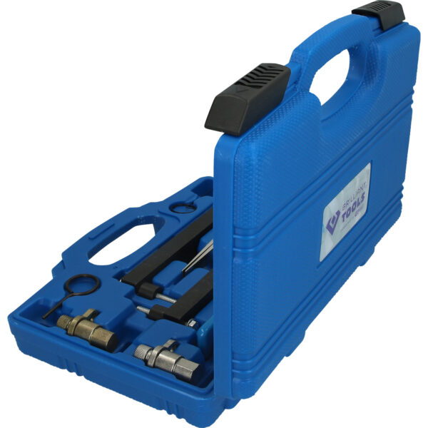 FOT_PRO_VAR_BT593250.1_SALL_AING_V1