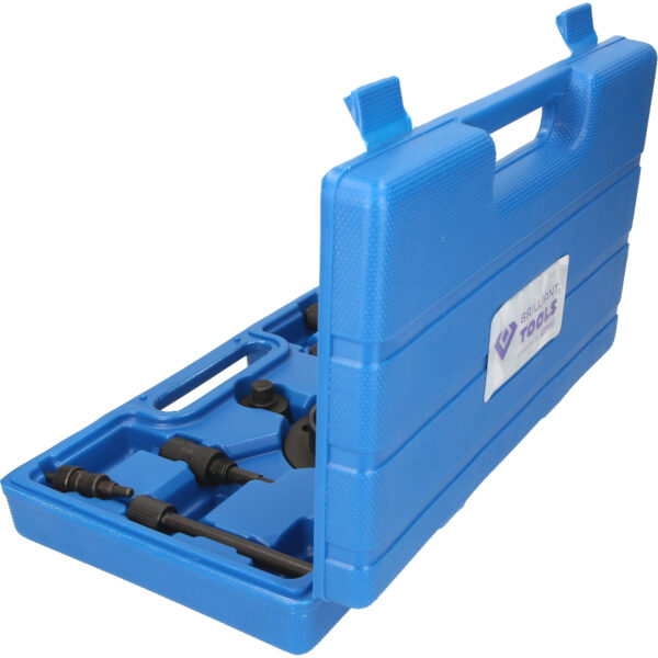 FOT_PRO_VAR_BT593200.1_SALL_AING_V1