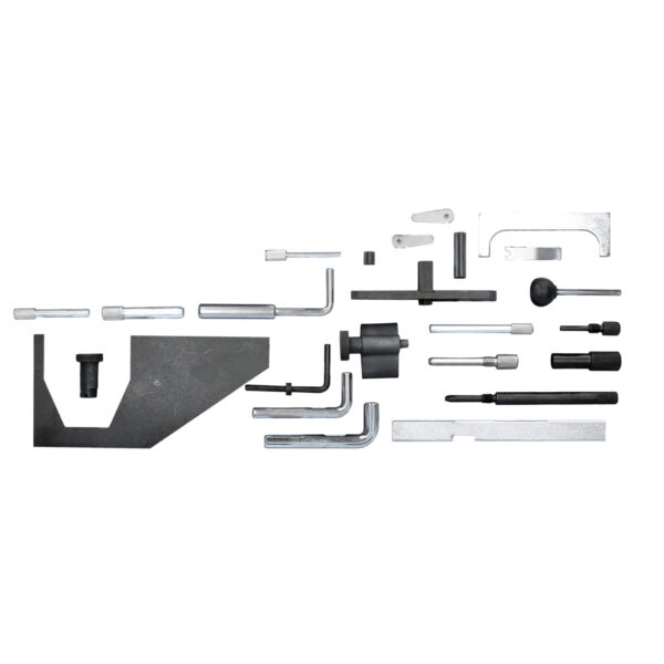 FOT_BT_VAR_BT593100.1_SALL_AING_V1