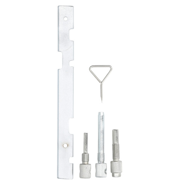 FOT_BT_VAR_BT593050.1_SALL_AING_V1