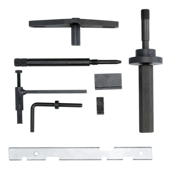 FOT_BT_VAR_BT593000.1_SALL_AING_V1